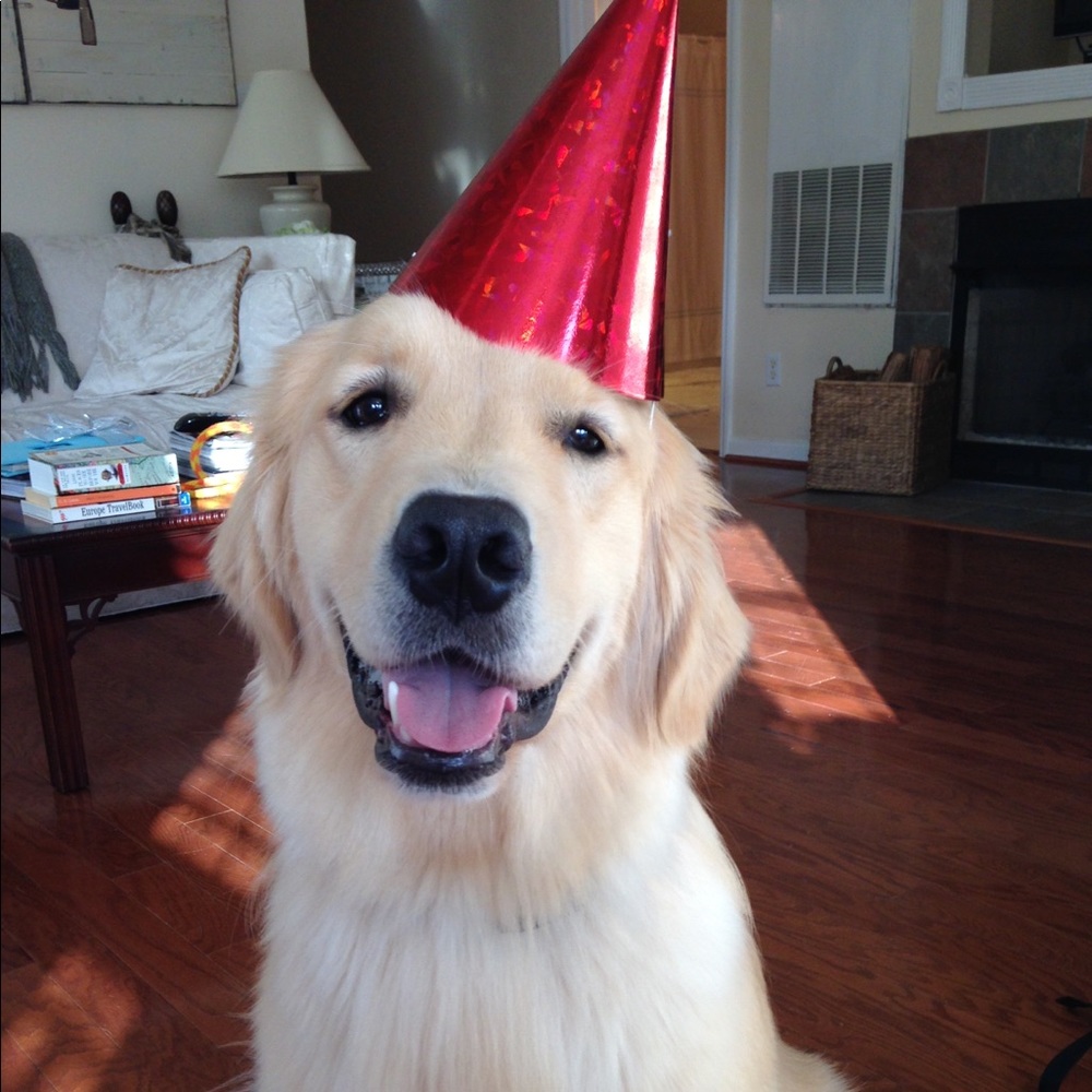 Meet your Posher, Kathleen